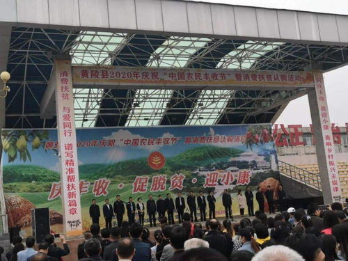 促增收，助脫貧——雙龍鎮(zhèn)參加全縣消費(fèi)扶貧產(chǎn)品展銷(xiāo)會(huì)，開(kāi)展經(jīng)營(yíng)助力打贏脫貧攻堅(jiān)戰(zhàn)